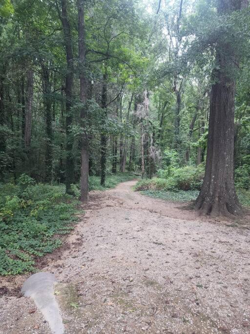Spotless 4Br Near Clt Uptown, Fast Wi-Fi Διαμέρισμα Σάρλοτ Εξωτερικό φωτογραφία